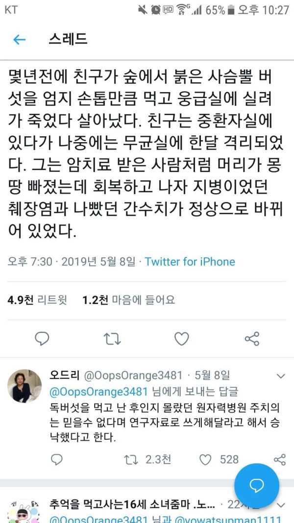 지병을 낫게해준 독버섯 근황