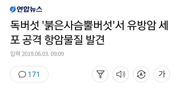 지병을 낫게해준 독버섯 근황
