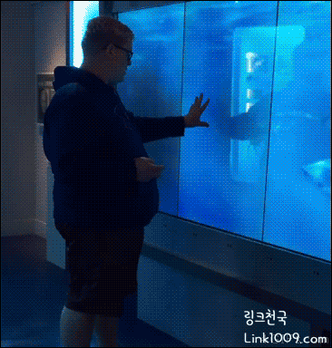 가짜 수족관.gif