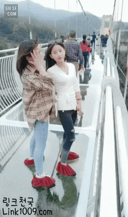 ㅓㅜㅑ 휴대폰 대참사