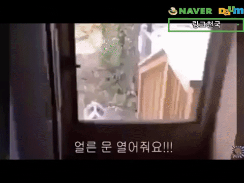 니들은 정체가 뭐냐..