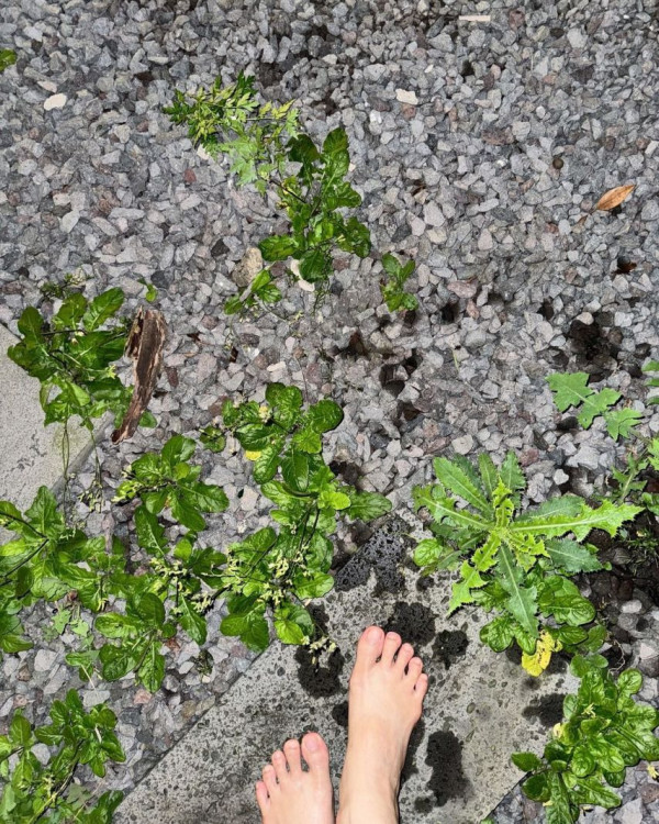 서동주 흰 모노키니 수영복 몸매