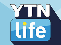 YTN