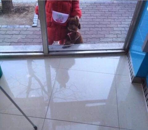 은행 돈 뽑는데 동생이랑 강아지 기다리는거봐