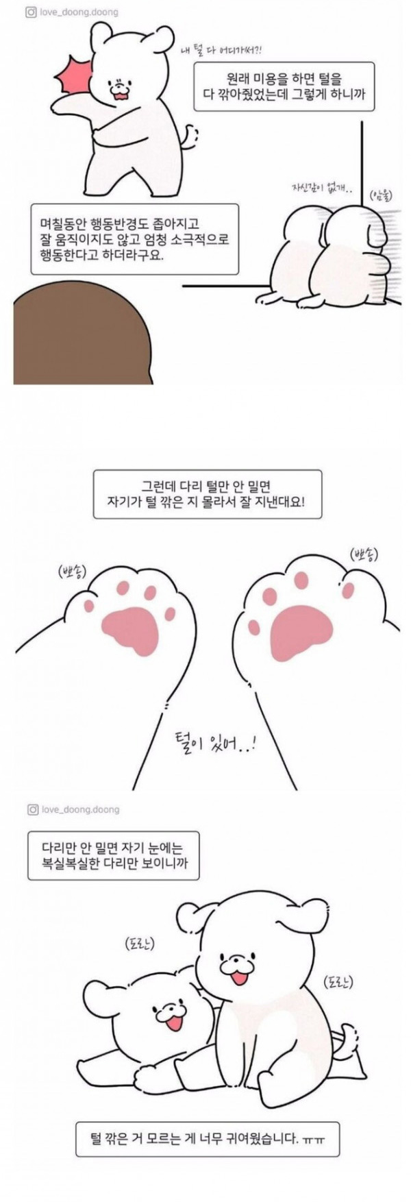 강아지 털 깎을 때 다리털은 남기는 이유
