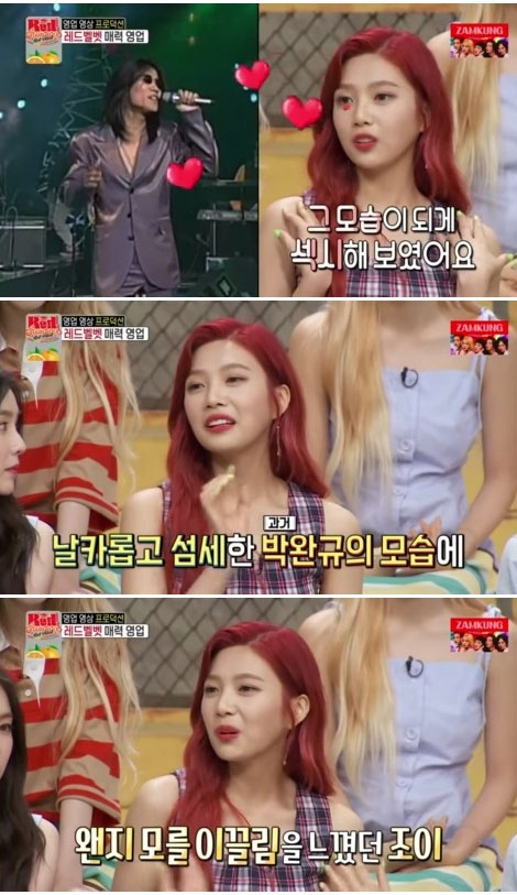 레드벨벳 조이 의외의 이상형