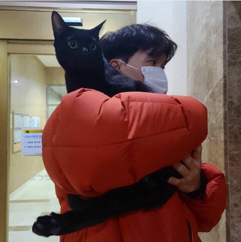 낚시터에서 유기된 고양이를 기르게된 박수홍 근황