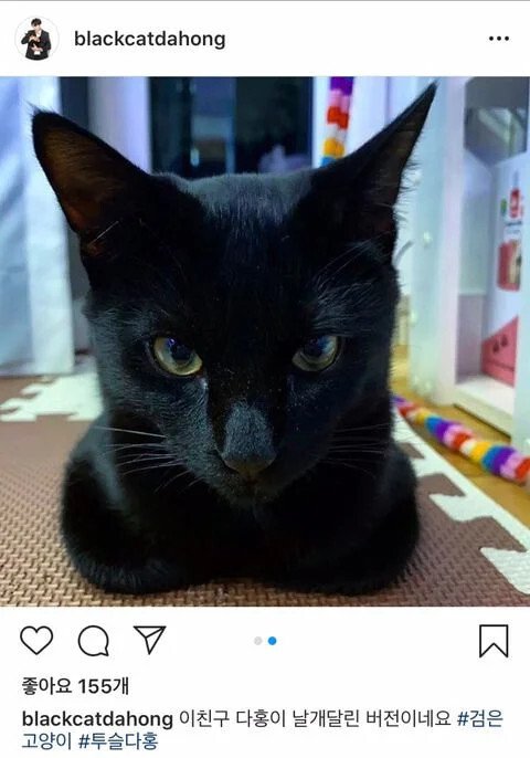 낚시터에서 유기된 고양이를 기르게된 박수홍 근황