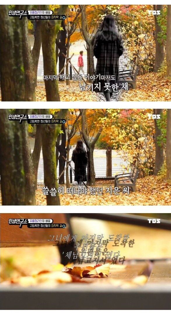 28세 젊은이의 고독사