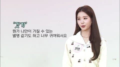 걸그룹 바이럴....공정위 조사착수