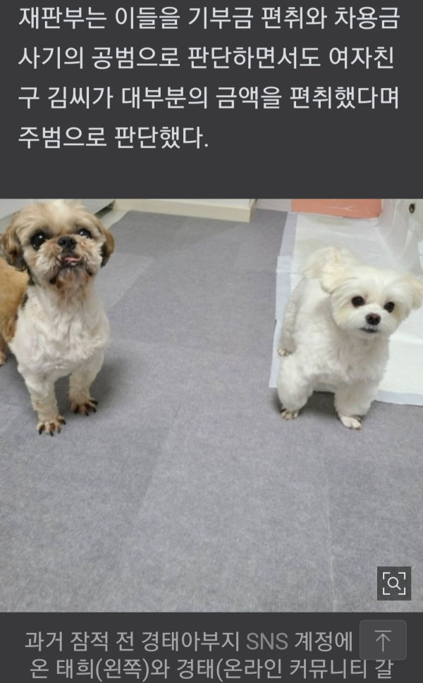 경태 (전) 아빠 근황