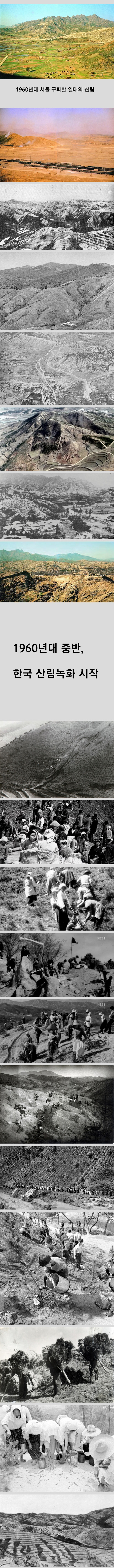 100년전까지 한반도의 상징이었던 것