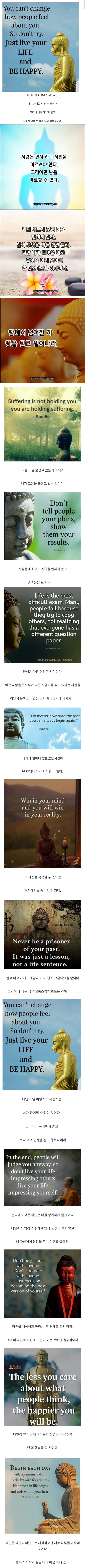 삶이 팍팍할 때 한번씩 보는 불교의 가르침들