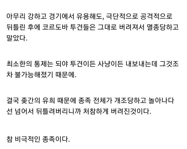 분노조절장애 때문에 인간에게 멸족당한 종족