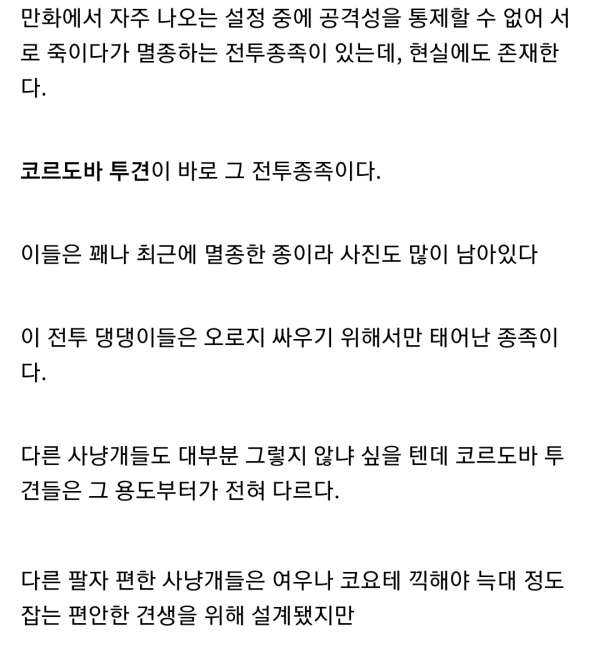 분노조절장애 때문에 인간에게 멸족당한 종족