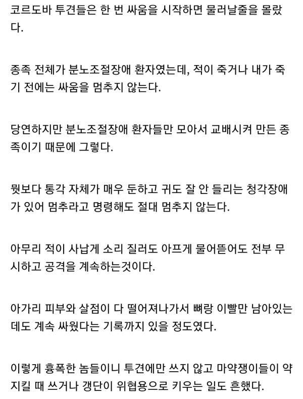 분노조절장애 때문에 인간에게 멸족당한 종족