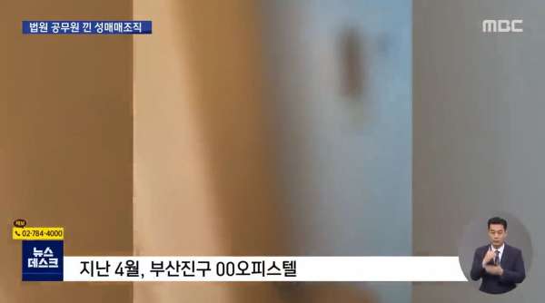 부산 최대 성매매 조직
