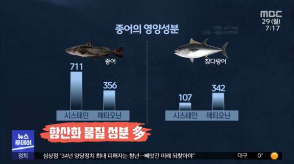 멸종됐던 물고기 종어 복원