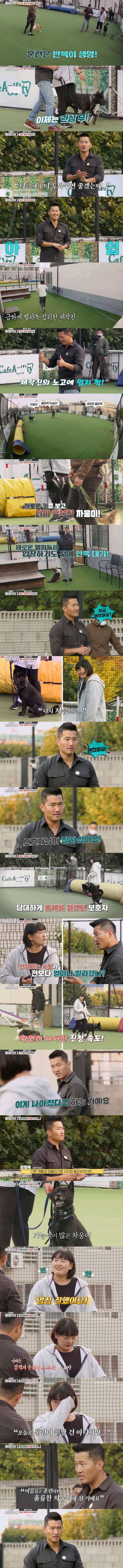 댕댕이 공격성 완화 훈련