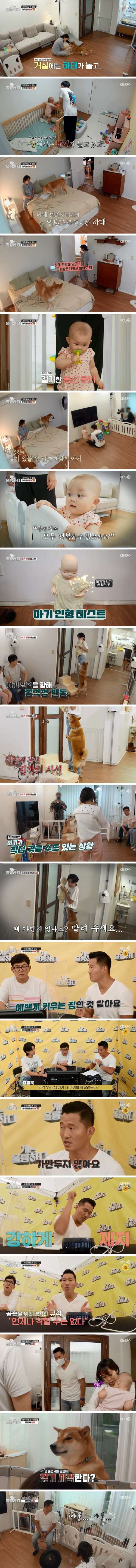아기가 태어나자 물어죽이려고 하는 개