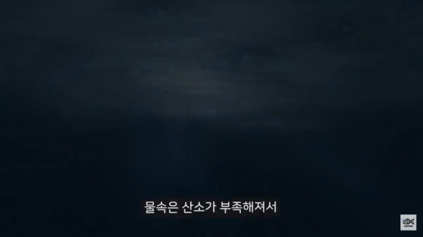 세계 10대 잡초중 하나