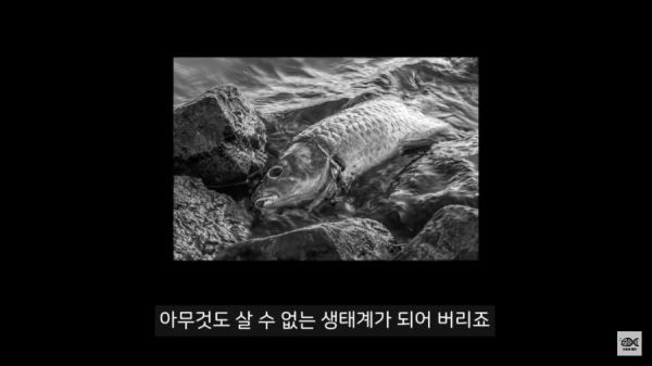 세계 10대 잡초중 하나
