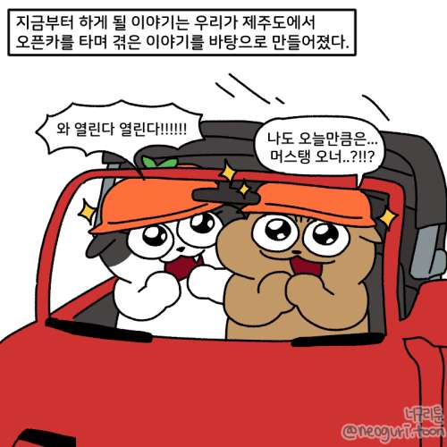 오픈카를 타기 전에 꼭 알아야하는 7가지