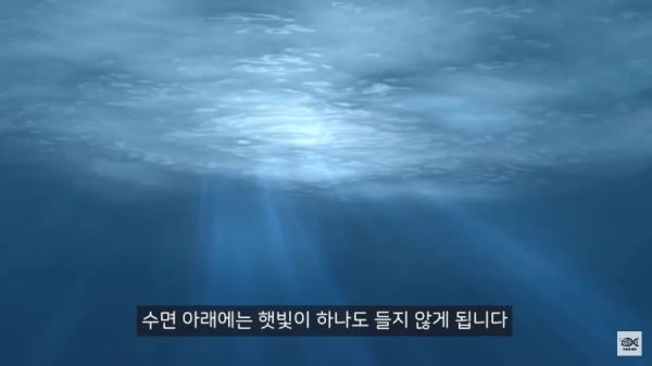 세계 10대 잡초중 하나