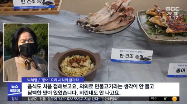 멸종됐던 물고기 종어 복원