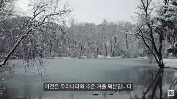 세계 10대 잡초중 하나