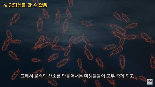 세계 10대 잡초중 하나