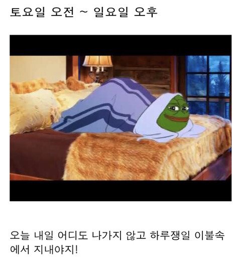 직장인들의 1주일 일상패턴