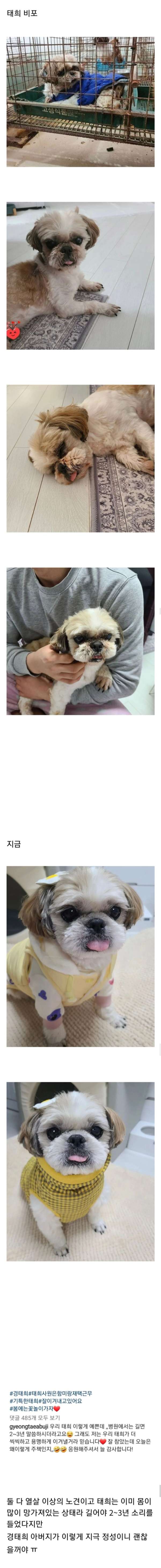 택배견 경태에 대해 잘 알려지지 않은 이야기