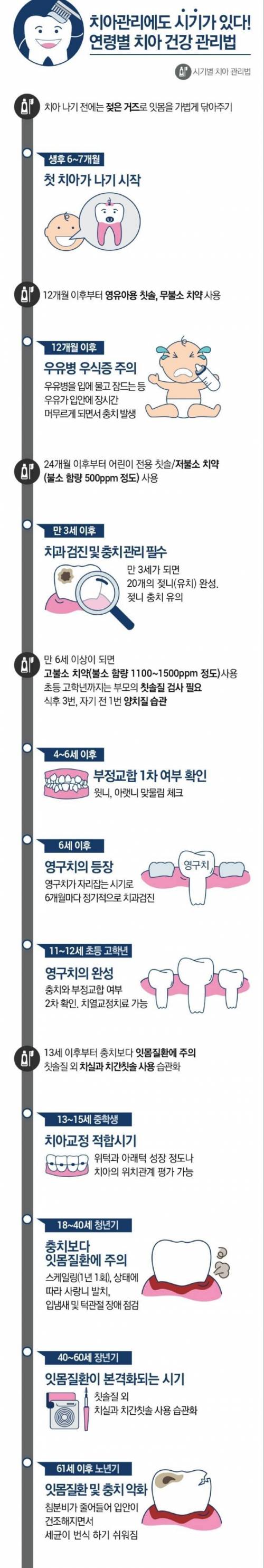 연령별 치아 건강 관리법