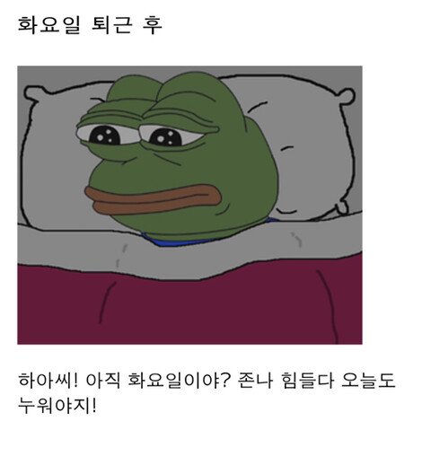 직장인들의 1주일 일상패턴