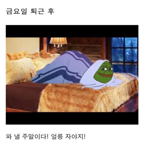 직장인들의 1주일 일상패턴