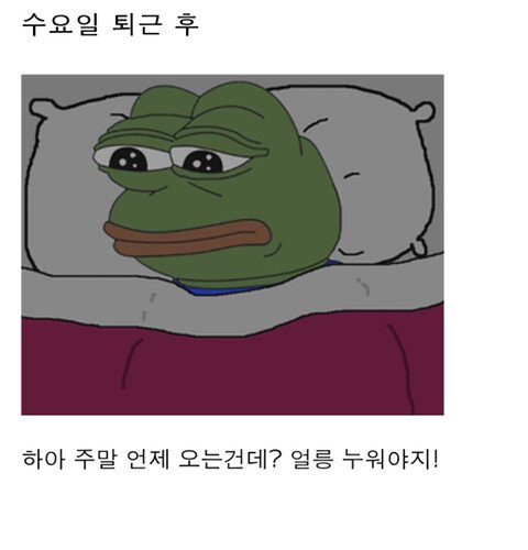 직장인들의 1주일 일상패턴