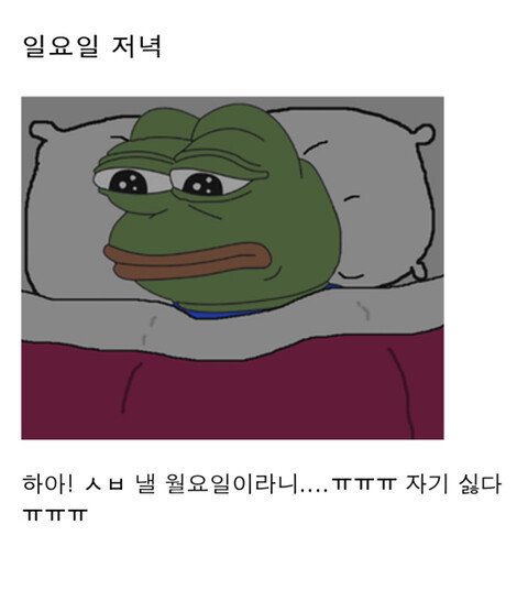 직장인들의 1주일 일상패턴