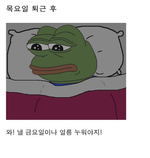 직장인들의 1주일 일상패턴