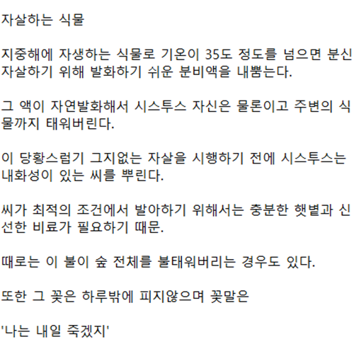주변에 엄청 피해를 주면서 자살하는 식물