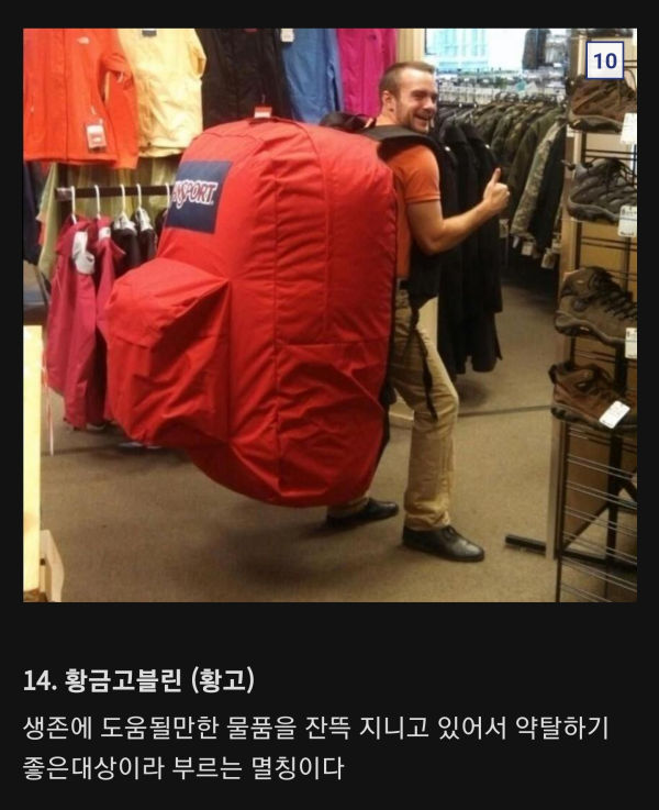 생존주의자들이 쓰는 간단한 용어들