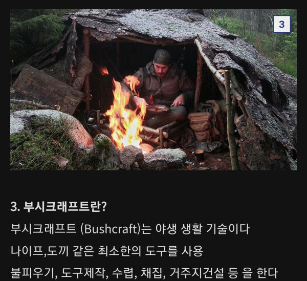 생존주의자들이 쓰는 간단한 용어들
