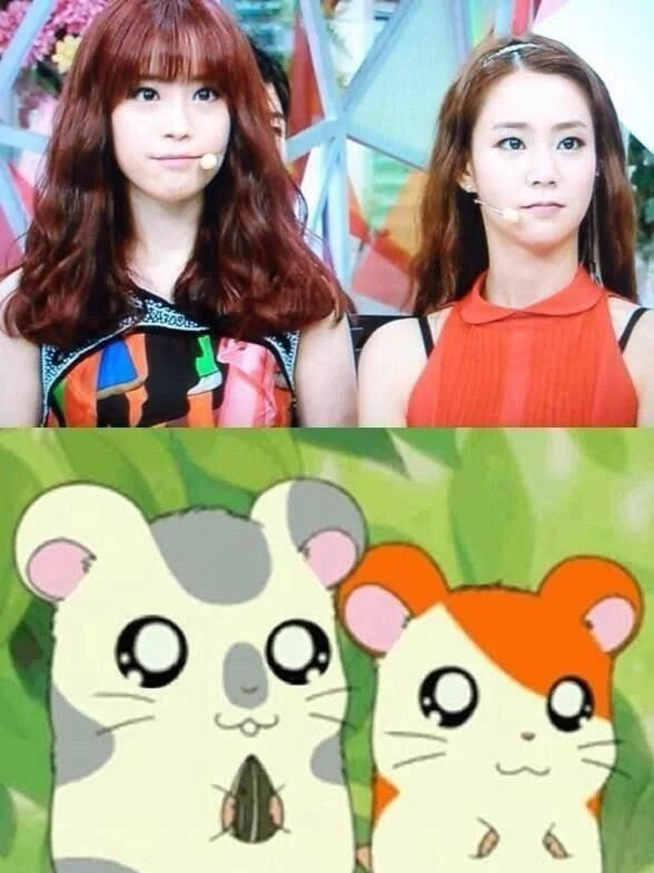 허영지 카라영입 반대했었던 한승연