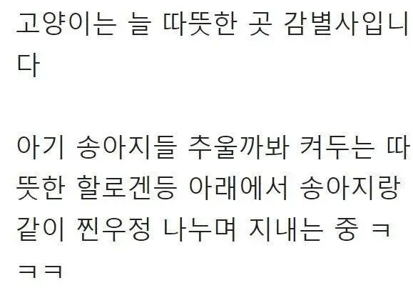 목장으로 찾아온 고양이의 친화력