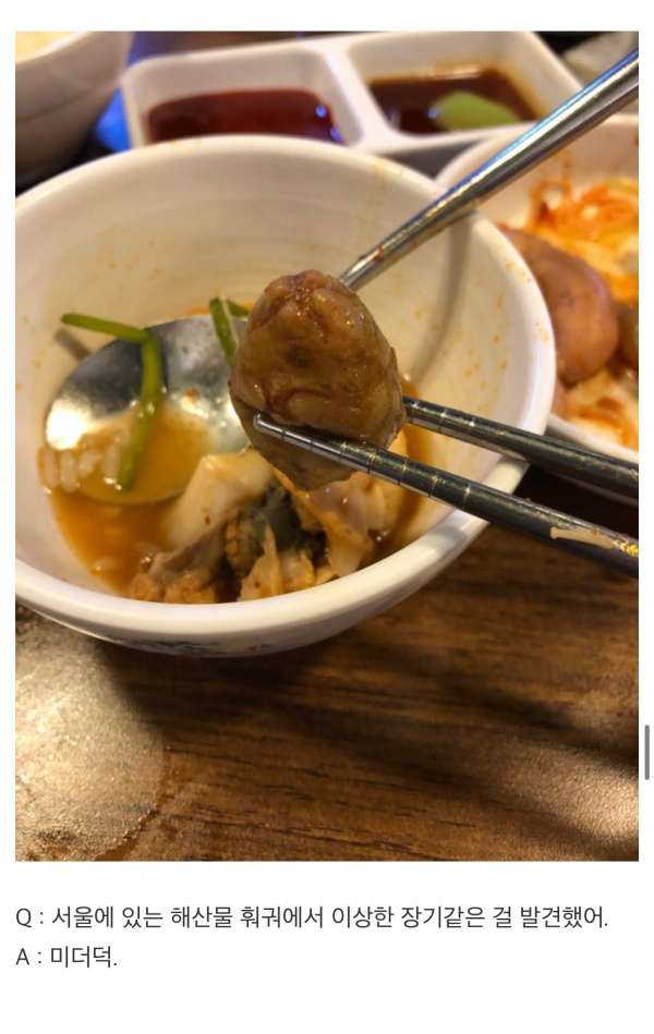 인터넷은 모든걸 알고 있다