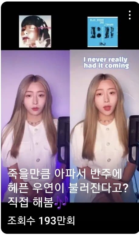 논란중인 비슷한 노래