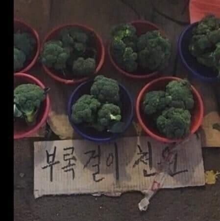 한글 표기가 쉽지않은 채소 류 원탑