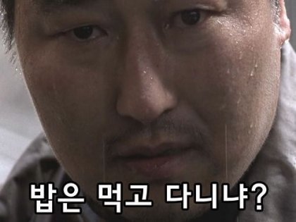 사쿠라가 이해 못 한 한국문화