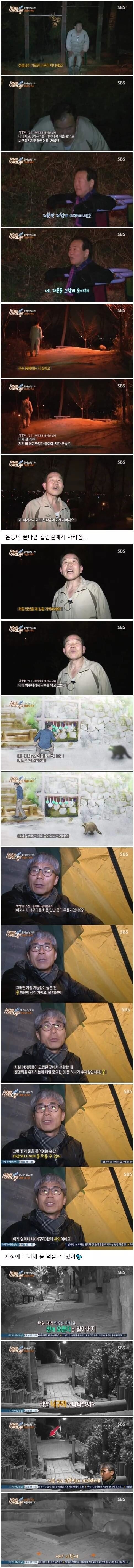 너구리에게 쫓기는 아저씨