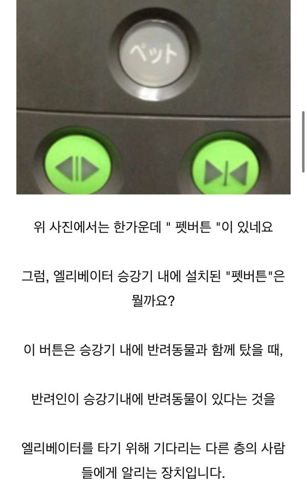 일본 엘리베이터에만 있는 기능